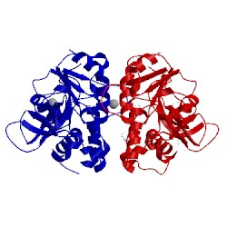 Image of CATH 4rg1