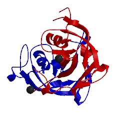 Image of CATH 4rgh