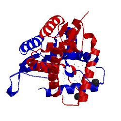 Image of CATH 4rgx