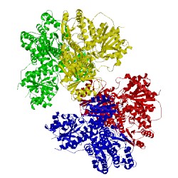 Image of CATH 4rh3