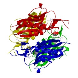 Image of CATH 4rht