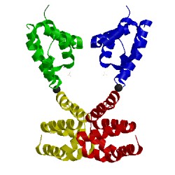 Image of CATH 4rhw