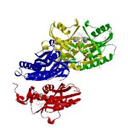 Image of CATH 4rhx