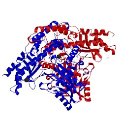 Image of CATH 4rit