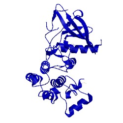 Image of CATH 4rj6