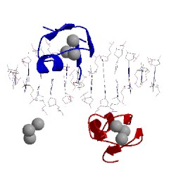 Image of CATH 4rkg