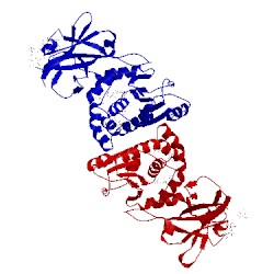 Image of CATH 4rkk