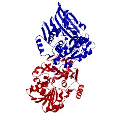 Image of CATH 4rl6