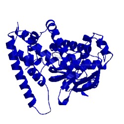 Image of CATH 4rm4