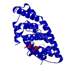 Image of CATH 4rme