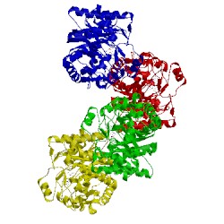 Image of CATH 4rnv