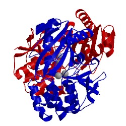 Image of CATH 4rpa