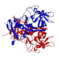 Image of CATH 4rpd