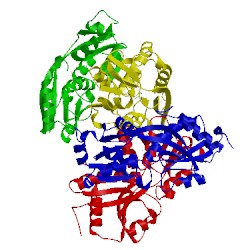 Image of CATH 4rpn