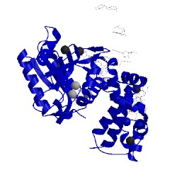 Image of CATH 4rq4