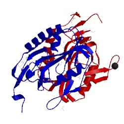 Image of CATH 4rqb