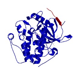 Image of CATH 4rrv