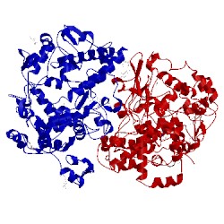 Image of CATH 4rrx