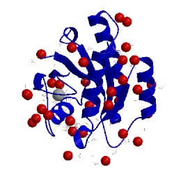Image of CATH 4rsg