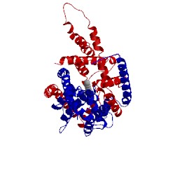 Image of CATH 4rue