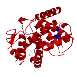 Image of CATH 4ruo