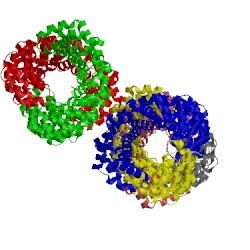 Image of CATH 4rv1