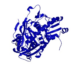 Image of CATH 4rvd