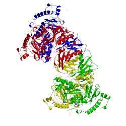 Image of CATH 4rvn