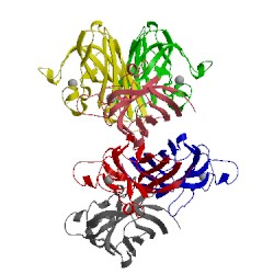 Image of CATH 4rvp