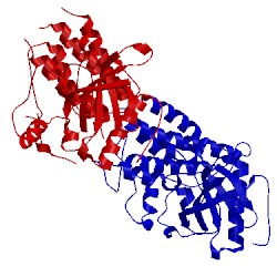 Image of CATH 4rwi