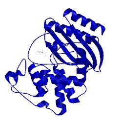 Image of CATH 4rx3