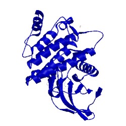 Image of CATH 4rx7