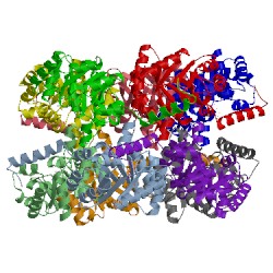 Image of CATH 4rxg
