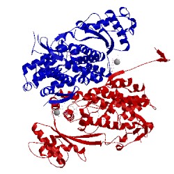 Image of CATH 4rxr