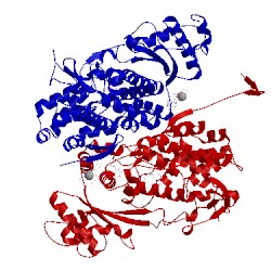 Image of CATH 4rxs