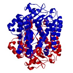 Image of CATH 4ry1