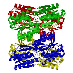 Image of CATH 4ry8