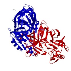 Image of CATH 4ryg