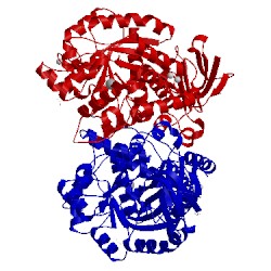 Image of CATH 4rzb