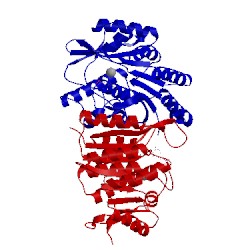 Image of CATH 4s1i