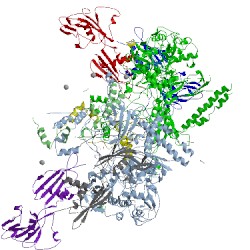 Image of CATH 4s20