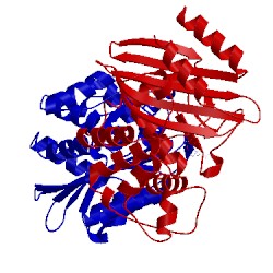 Image of CATH 4s2i