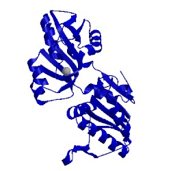 Image of CATH 4s2u