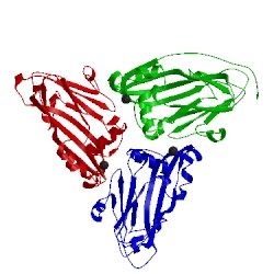 Image of CATH 4sbv