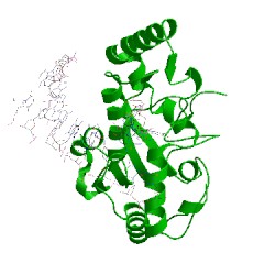 Image of CATH 4skn