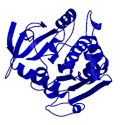 Image of CATH 4tgl