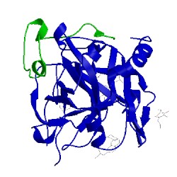 Image of CATH 4thn