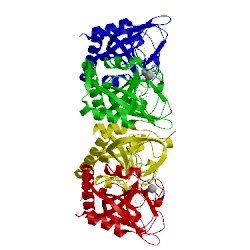 Image of CATH 4tjy