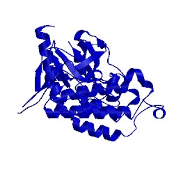 Image of CATH 4tks