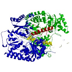 Image of CATH 4tku